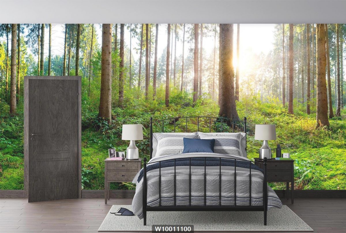 پوستر دیواری طبیعت منظره جنگل W10011100 اتاق خواب